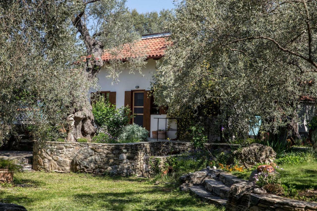 Piges Villa Milina Exterior photo