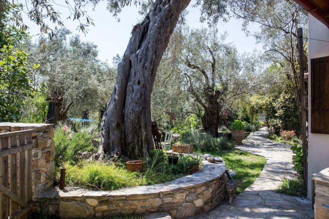 Piges Villa Milina Exterior photo